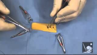 January 2013 Live Webinars - Rodent Surgery