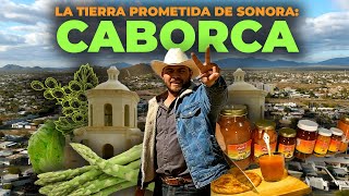 ¿La tierra PROMETIDA de Sonora es Caborca? | El COMERCIO del pueblo y la producción de frutos.