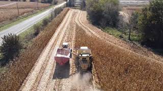 New Holland TR 87 combining corn 10-4-24