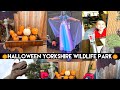 Halloween Yorkshire Wildlife park |2022