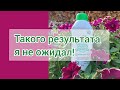 Почему я люблю Экодачник?!