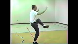 Tai Chi 24 Movement Yang Form -1986