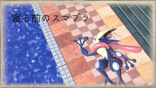 【スマブラ】2４歳がもうすぐ終わる