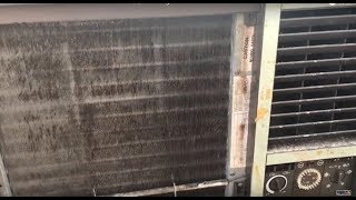 1987 Carrier International Series 12K BTU | Cleaning and Test