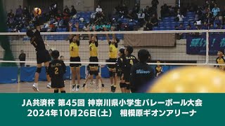 【アーカイブ/2024年10月26日配信】JA共済杯 第45回 神奈川県小学生バレーボール大会