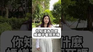 【物理冷知識】螞蟻居然摔不死，是真的嗎