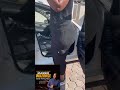 Mambo Wazvose