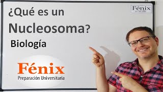 ¿Qué es un nucleosoma?