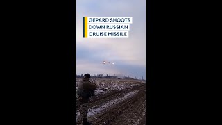 Ukrainian troops shoot down missile using German anti-aircraft gun