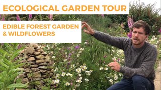 Ecological Garden Tour: Permaculture, Edible Forest Gardening \u0026 Wildflowers