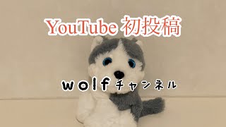 【初投稿】小学生の息子が作った初動画です。【wolfチャンネル】