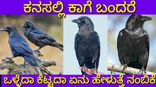 ಕನಸಲ್ಲಿ ಕಾಗೆ ಬಂದರೆ | Dream of crow