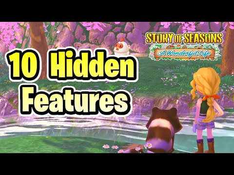 10 Hidden Features You NEED To Know for Story of Seasons: A Wonderful Life!