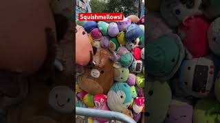 Squish Tour in Herald Square NYC #newyork #nyc #travel #squishmallows