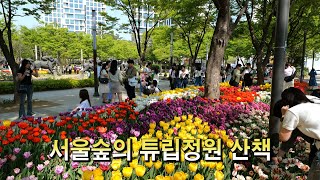 서울숲의 튤립정원(Tulip garden) 산책