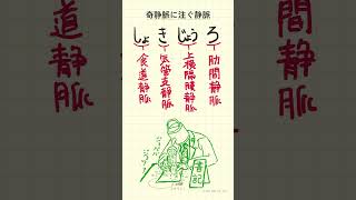 奇静脈に注ぐ静脈の語呂合わせ～20秒で国試対策～