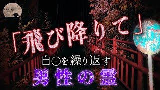 【心霊】※閲覧注意..愛犬が進行を止めた場所..定点中捉えた映像がやばい【鱒淵ダム】#93