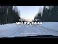 Медведица