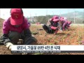 뉴스투데이 다시보기 20150914월 여수아파트 추락사 백운산관광