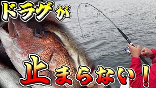 【ゴムボート釣り】ドラグが止まらない！春の陸奥湾で大物を狙う！