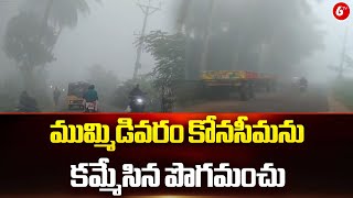 ముమ్మిడివరం కోనసీమను కమ్మేసిన పొగమంచు || AP News || 6TV