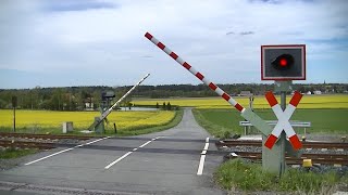 Spoorwegovergang Langelsheim (D) // Railroad crossing // Bahnübergang