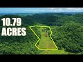 Affordable Farmland FOR SALE in Jamaica - What An Opportunity!