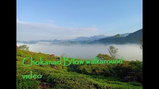 Chokanad Walkaround #munnar#asmr#natureasmr#gp_the_explorer