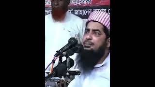 Samiya Hijab Viral Video Samiya Shianz Video Haqeeqi Awaz Mp3 Music