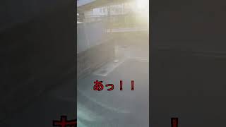 水泳大会の日にやらかした！泣#shorts #縄文時代 #おもしろ #怖い話 #水泳