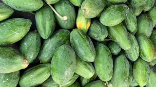 বিশাল পেঁপে বাগান 🥑🥑🥑🥑#viral #viralvideo #nature