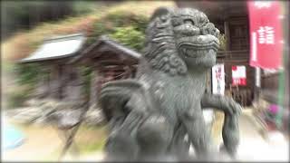 30秒の心象風景15378・個性的な造形～高座神社狛犬～