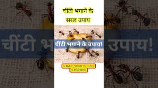 चींटियों को मारने की नहीं जरूरत, चींटी भगाने के सरल उपाय, Home Remedy For Ants #shorts #viral #2023