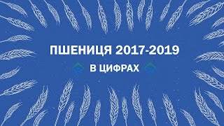 ПШЕНИЦЯ 2017-2019: площі, валовий збір, урожайність / СуперАгроном