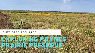 Exploring Paynes Prairie Preserve