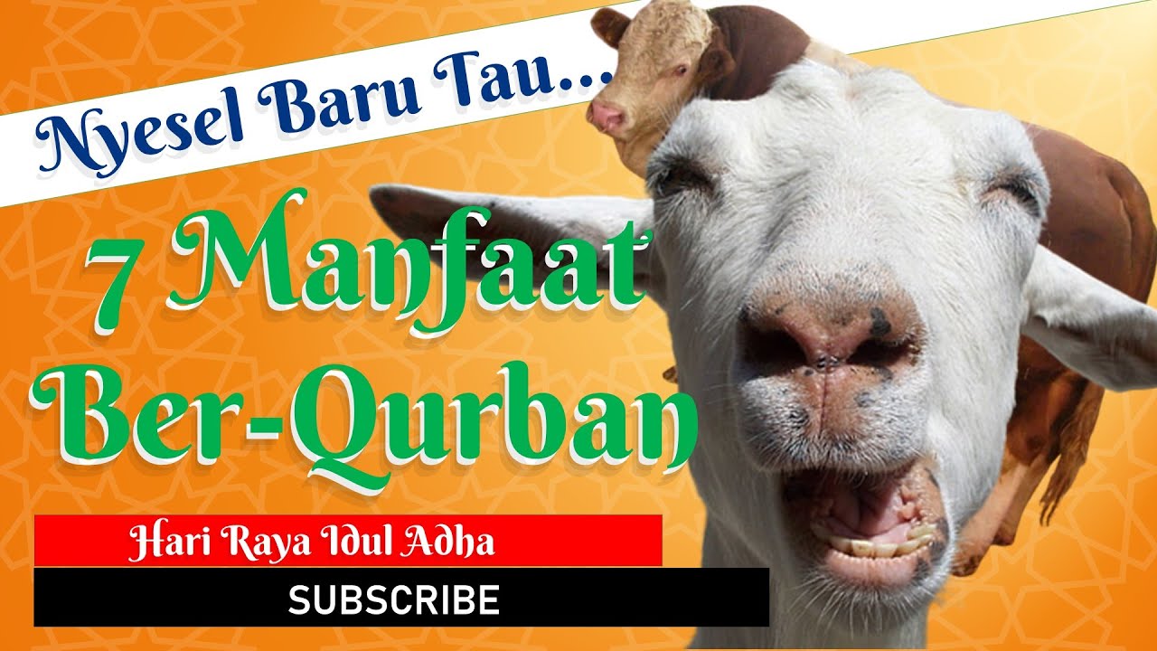 7 Manfaat Qurban Hari Raya Idul Adha - YouTube