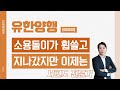 유한양행(000100) - 소용돌이가 휩쓸고 지나갔지만 이제는