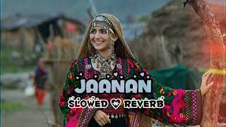 Jaanan |( Slow and Reverb )|- Hadiqa Kiani ft Irfan Khan 🎵| Lofi Songs | SHX MUSIC |