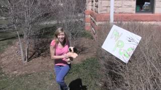 CU Boulder Spring Break 2014: What Makes You Happy?