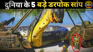 दुनिया के सबसे बड़ा सांप | Top 5 Fact |5 Biggest Snakes in the World
