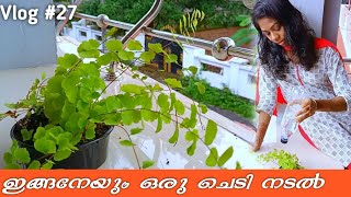 പുല്ല് പറിച്ച് ചട്ടിയിൽ വച്ചപ്പോൾ ||  Gardening Vlog || Aswathy Sajin || Vlog #27