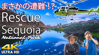 【Distress to Rescue】Sequoia National Park [4k] Happy Ending