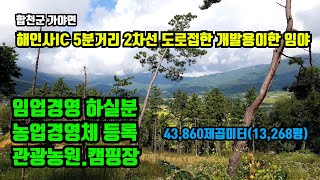 [합천군 가야면] 임야 매매.해인사IC 5분거리에 2차선 도로접한 임야. 수려한 경치와 개울접하고 농업경영중인 임야매매. 합천군 임야 매매. 산매매.합천부동산.대구부동산.거창부동산