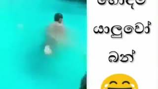 හොදම යාලුවෝ කියන්නේ කවුද ඇහුවොත්