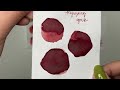 vaness haul new fountain pen inks taccia wearingeul colorverse