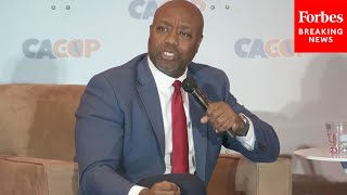 Tim Scott: 'Without Any Question, Think About This...'