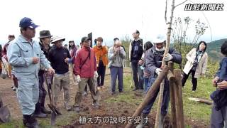 「最上川さくら回廊」、今年２回目の植樹式