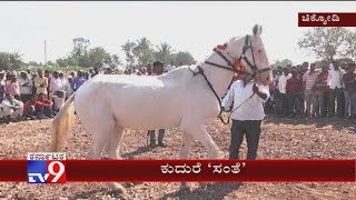 The One And Only Famous Horse Fair Held In Chikodi, Karnataka