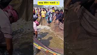 |•দীঘা সমুদ্রের জ্যান্ত  ইলিশ পকেটে 🐟🐟😯🐟 digha sea ilish fishing 🌊🐟🏖️ #Digha #Digha_sea_beach