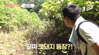 청주에 이런 풍경이?! 울창한 밀림 속 숨겨진 마을 속으로 | 꽃길만 걸어요 42 회